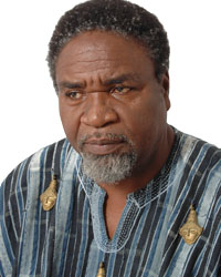 Professor Kofi Anyidoho